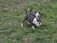 processed/9d0982de-68b5-45b4-8d0a-0ce0e224b46b/listing/1b15a749-6d06-4930-976a-6414e8b9f5ee/53f37868-aa73-42f4-920a-909ef764cf76