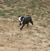 processed/9d0982de-68b5-45b4-8d0a-0ce0e224b46b/listing/1b15a749-6d06-4930-976a-6414e8b9f5ee/ac09b264-d7e2-4547-a4a2-7d574bbde00f