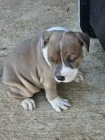 processed/9d0982de-68b5-45b4-8d0a-0ce0e224b46b/listing/650f2207-a351-472a-80d6-5d7eb766ea07/0c4f31c6-4e3f-494f-909c-9e6310b34b90