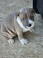 processed/9d0982de-68b5-45b4-8d0a-0ce0e224b46b/listing/650f2207-a351-472a-80d6-5d7eb766ea07/c957f314-8770-43ff-8d2f-2d36e6c63e42