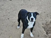 processed/9d0982de-68b5-45b4-8d0a-0ce0e224b46b/listing/699c4bbe-a1b9-40aa-ba0b-ca2d1a273915/3b0b8eda-79da-45bf-910e-74f10fe2edcc