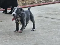 processed/9d0982de-68b5-45b4-8d0a-0ce0e224b46b/listing/806b7bb8-b73c-4b7c-8629-b13dbac22af0/56b16667-cacd-42b7-bc75-4c61708ceb59