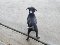 processed/9d0982de-68b5-45b4-8d0a-0ce0e224b46b/listing/806b7bb8-b73c-4b7c-8629-b13dbac22af0/70bf5d4a-af0f-4fd1-8aef-bffc8634290d