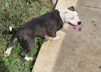 processed/9d0982de-68b5-45b4-8d0a-0ce0e224b46b/listing/cf5bbe01-1b2d-4aec-b7a4-45d645441b90/b3618dfa-169a-4104-8a08-c43ffe40876a