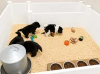 Facility photo