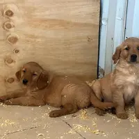 processed/9d164ab9-2168-4a29-8fa8-51042b7ebfb9/facility/397aeaae-1de7-4f10-a27b-4838b7e39d2a