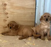 processed/9d164ab9-2168-4a29-8fa8-51042b7ebfb9/facility/397aeaae-1de7-4f10-a27b-4838b7e39d2a