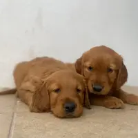 processed/9d164ab9-2168-4a29-8fa8-51042b7ebfb9/facility/87d7b4a6-7dc8-4adc-a6ae-24404b37e73e