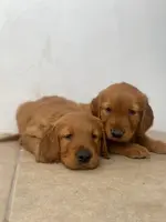 processed/9d164ab9-2168-4a29-8fa8-51042b7ebfb9/facility/87d7b4a6-7dc8-4adc-a6ae-24404b37e73e