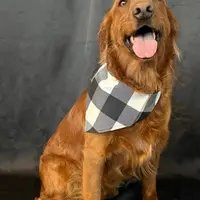 processed/9d164ab9-2168-4a29-8fa8-51042b7ebfb9/facility/af9c20eb-03cc-4618-9cb3-2e6b382215e6