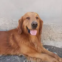 processed/9d164ab9-2168-4a29-8fa8-51042b7ebfb9/facility/b4e8cb01-7d1b-411f-ac1c-02a590f27a9e