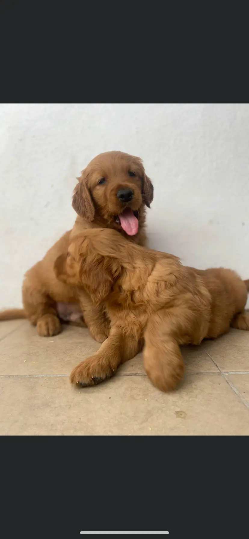 processed/9d164ab9-2168-4a29-8fa8-51042b7ebfb9/facility/bc5bb5ee-d168-4dac-a161-0131b6c640eb