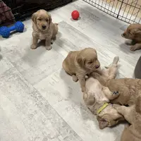 processed/9d164ab9-2168-4a29-8fa8-51042b7ebfb9/facility/efd4ee58-6484-401b-9649-937433168beb