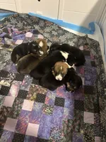 processed/9d250b2d-c0db-4b7a-8f4d-fa273cccc3d0/facility/2389105b-0dc5-424f-9462-5beab0060019