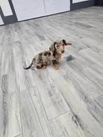 processed/9d32bf16-a95f-41cf-8135-04260e3b21dc/listing/03cede6a-ff7a-473a-a108-89711481a3eb/6c99f17b-e7f0-4717-a85a-6af7b16548f5