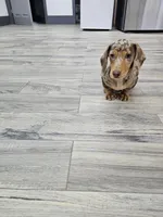 processed/9d32bf16-a95f-41cf-8135-04260e3b21dc/listing/03cede6a-ff7a-473a-a108-89711481a3eb/7821d1c8-7ba3-4a36-8e49-b6d993d5b986