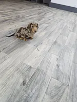 processed/9d32bf16-a95f-41cf-8135-04260e3b21dc/listing/03cede6a-ff7a-473a-a108-89711481a3eb/d5c69977-3675-4d47-ab42-6ac2f5396344