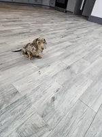 processed/9d32bf16-a95f-41cf-8135-04260e3b21dc/listing/03cede6a-ff7a-473a-a108-89711481a3eb/f15fbd66-8cbf-4bfc-9dcb-e96b044902b3