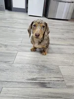 processed/9d32bf16-a95f-41cf-8135-04260e3b21dc/listing/03cede6a-ff7a-473a-a108-89711481a3eb/fa33dca0-dd10-4dc7-974f-42f636054abd