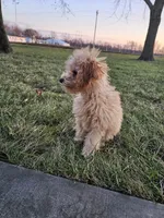 processed/9d32bf16-a95f-41cf-8135-04260e3b21dc/listing/93ff2663-4d36-4fc8-a9ff-83a01b1e63a3/9b45185e-c32c-4f6e-ab2c-3a00b02c5486