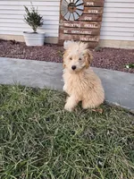 processed/9d32bf16-a95f-41cf-8135-04260e3b21dc/listing/93ff2663-4d36-4fc8-a9ff-83a01b1e63a3/b7ff8d13-aae7-493e-ab2c-a9307686cf23