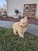 processed/9d32bf16-a95f-41cf-8135-04260e3b21dc/listing/93ff2663-4d36-4fc8-a9ff-83a01b1e63a3/c37f568c-fd50-48aa-afe4-d5b09a5e50d4