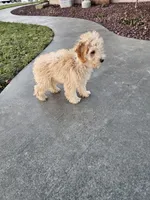 processed/9d32bf16-a95f-41cf-8135-04260e3b21dc/listing/93ff2663-4d36-4fc8-a9ff-83a01b1e63a3/d7417723-de8d-4c62-a42a-51deacaf7dc4