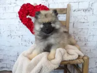 processed/9d397ad6-9b0f-4778-a7fd-4a40ee661003/listing/09c3c841-489a-4ea5-874f-35a4e4dec789/429143b6-9a6b-43a5-8589-0b4190c366c3