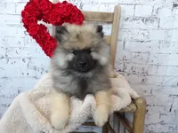 processed/9d397ad6-9b0f-4778-a7fd-4a40ee661003/listing/09c3c841-489a-4ea5-874f-35a4e4dec789/4327d3eb-9919-48e6-9670-ee7ba1d9f101