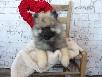 processed/9d397ad6-9b0f-4778-a7fd-4a40ee661003/listing/09c3c841-489a-4ea5-874f-35a4e4dec789/76765011-78f6-4c9a-ac96-f017eb8e3193