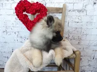 processed/9d397ad6-9b0f-4778-a7fd-4a40ee661003/listing/09c3c841-489a-4ea5-874f-35a4e4dec789/da7be70a-fbaa-4553-92f8-d147ab333a24