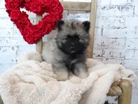 processed/9d397ad6-9b0f-4778-a7fd-4a40ee661003/listing/276dca89-1093-4e86-9726-672d85ca5768/e3b15921-ae7a-4e8b-a8b5-883070b72f2a