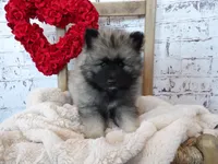 processed/9d397ad6-9b0f-4778-a7fd-4a40ee661003/listing/276dca89-1093-4e86-9726-672d85ca5768/f0861b66-16fe-4577-b526-ff06bf64461a