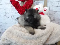 processed/9d397ad6-9b0f-4778-a7fd-4a40ee661003/listing/6b2fead3-8c89-432e-9028-8bcf37ae9c50/4448796e-4960-4f69-a457-1467f25bb5e9