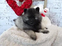 processed/9d397ad6-9b0f-4778-a7fd-4a40ee661003/listing/6b2fead3-8c89-432e-9028-8bcf37ae9c50/4916d3fe-8443-4ef0-9b0e-935b915fa155