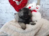 processed/9d397ad6-9b0f-4778-a7fd-4a40ee661003/listing/6b2fead3-8c89-432e-9028-8bcf37ae9c50/8f0e1ff7-d67a-4456-8aa3-40da479f558a