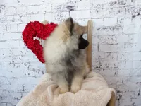 processed/9d397ad6-9b0f-4778-a7fd-4a40ee661003/listing/730f6a09-a798-4103-b1ad-19d821b253ed/1d1e8e77-5d64-454f-9af4-6283219bf5d3