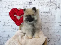 processed/9d397ad6-9b0f-4778-a7fd-4a40ee661003/listing/730f6a09-a798-4103-b1ad-19d821b253ed/47723c9c-7dc5-4a47-8754-d3864ce00952