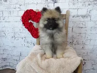 processed/9d397ad6-9b0f-4778-a7fd-4a40ee661003/listing/730f6a09-a798-4103-b1ad-19d821b253ed/4c7761dc-35d6-49a3-983b-f0549ec09f0c