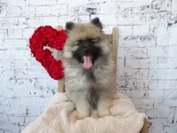 processed/9d397ad6-9b0f-4778-a7fd-4a40ee661003/listing/730f6a09-a798-4103-b1ad-19d821b253ed/a61ca79a-c459-4630-9b28-900e2c25819a