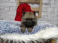 processed/9d397ad6-9b0f-4778-a7fd-4a40ee661003/listing/859b3c68-85b2-4210-a551-c82de6fe9584/49ac4269-200e-4f42-a9ae-603024f23d5f