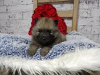 processed/9d397ad6-9b0f-4778-a7fd-4a40ee661003/listing/859b3c68-85b2-4210-a551-c82de6fe9584/821ce0a1-25ad-4e73-86db-34f4eb902b3e