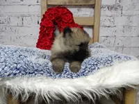 processed/9d397ad6-9b0f-4778-a7fd-4a40ee661003/listing/859b3c68-85b2-4210-a551-c82de6fe9584/f5fe14e3-87fc-4d50-8820-447ed4549f60