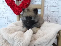 processed/9d397ad6-9b0f-4778-a7fd-4a40ee661003/listing/8bc70606-af0b-4b86-86e6-e738ad6a8318/14346774-a03c-4b1e-9c5f-fdc41d7c73b1