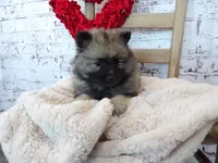 processed/9d397ad6-9b0f-4778-a7fd-4a40ee661003/listing/8bc70606-af0b-4b86-86e6-e738ad6a8318/52ebdd47-18da-434d-8175-9826d964a042