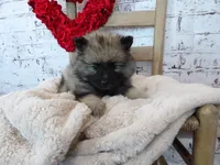 processed/9d397ad6-9b0f-4778-a7fd-4a40ee661003/listing/8bc70606-af0b-4b86-86e6-e738ad6a8318/c129e8d6-6611-4660-a02a-819183828d26