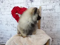 processed/9d397ad6-9b0f-4778-a7fd-4a40ee661003/listing/928278fd-650d-4304-a582-3d50deda2ecd/7fdaba06-1795-4f21-9881-84870e3ef39f