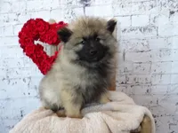 processed/9d397ad6-9b0f-4778-a7fd-4a40ee661003/listing/928278fd-650d-4304-a582-3d50deda2ecd/90edf542-95d5-44e2-a42c-1def04e73308