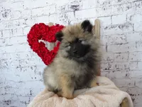 processed/9d397ad6-9b0f-4778-a7fd-4a40ee661003/listing/928278fd-650d-4304-a582-3d50deda2ecd/b17a75eb-ed31-4235-8ace-359a7264f76e