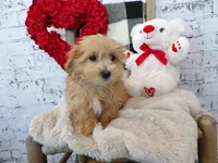 processed/9d397ad6-9b0f-4778-a7fd-4a40ee661003/listing/995ea85f-77b3-4459-902c-e6fcdac4676a/07c05332-7a27-4666-b515-ee6fd319d6ac